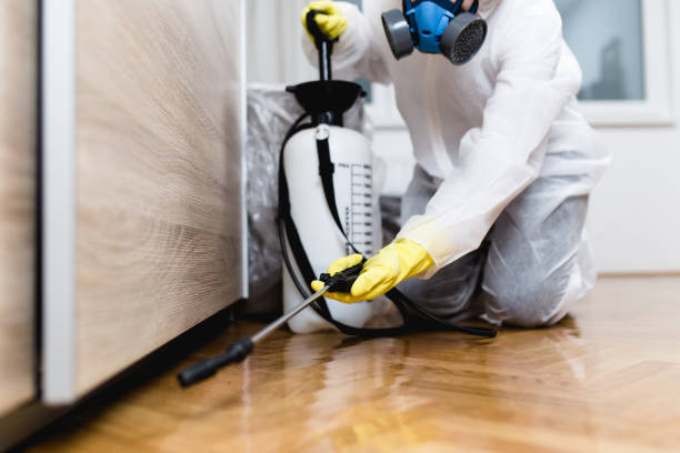 Best Pest Removal Services  in Parkway, CA