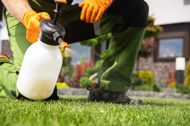 Best Affordable Exterminators  in Parkway, CA